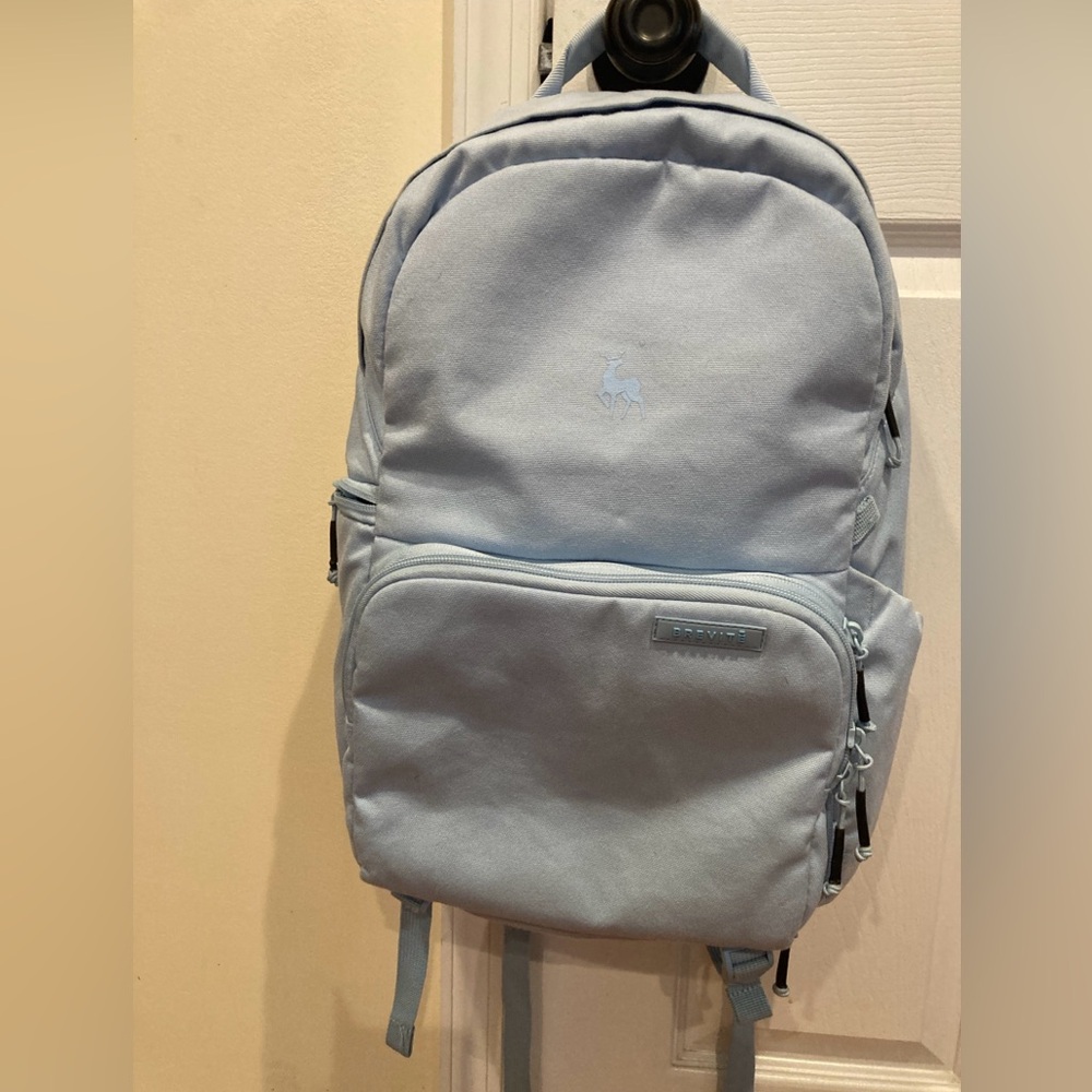 Brevite Backpack Laptop Compartment School Book Bag Sky Blue